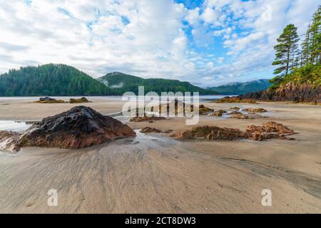 Landschaft von San Josef Bay, Cape Scott Provincial Park, British Columbia, Kanada Stockfoto