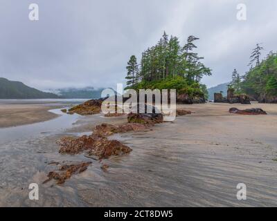 Feinsandiger Strand, Felsen und Meeresstapel der San Josef Bay im Cape Scott Provincial Park, British Columbia, Kanada Stockfoto