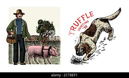 Schwein und Lagotto Romagnolo Hund zum Auffinden von Trüffelpilzen. Hausschwein . Handgezeichnete Vintage-Skizze mit Gravur. Holzschnitt. Vektorgrafik. Stock Vektor