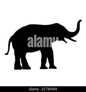 Schwarzes Bild Elefant Asien stehend, Grafik Design Vektor Umriss Illustration isoliert auf weißem Hintergrund Stock Vektor