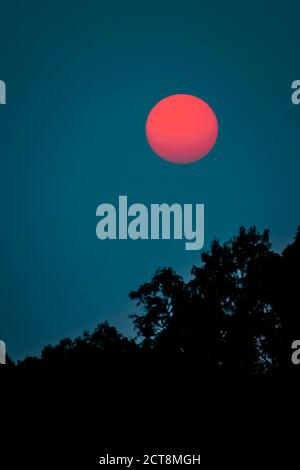 Sommeransicht der dunkelroten Sonne, wie durch den rauchigen Himmel während der Waldbrände von 2020 gesehen Stockfoto