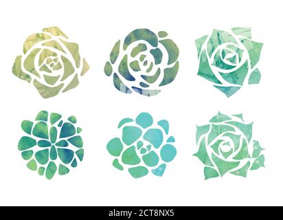 Set von Aquarell Sukkulenten mit einer Draufsicht auf weißem Hintergrund. Vektor-Element für Ihre Kreativität Stock Vektor