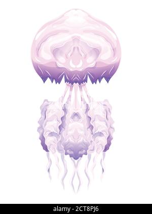 Bunte Illustration von Neon Quallen. Das Objekt ist vom Hintergrund getrennt. Illustration für den Druck auf T-Shirts, Abdeckungen, Skizzen von Tätowierung Stock Vektor