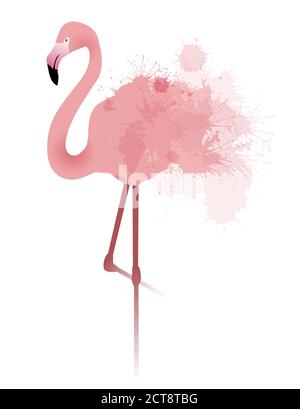 Vektor-Illustration von rosa Flamingo mit Aquarell Splatter und Splash Stock Vektor