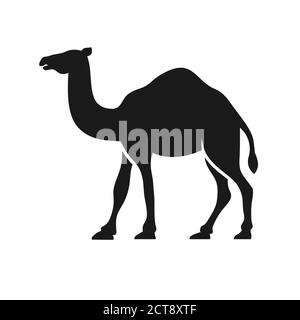 Camel Graphic Silhouette Logo Design Vektor Stock Vektor