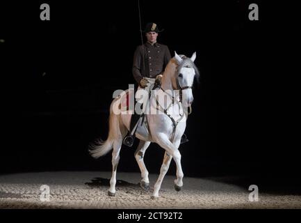 DIE SPANISCHE REITSCHULE IST IN DER WEMBLEY ARENA IN LONDON ZU SEHEN. BILDNACHWEIS : © MARK PAIN / ALAMY STOCK FOTO Stockfoto