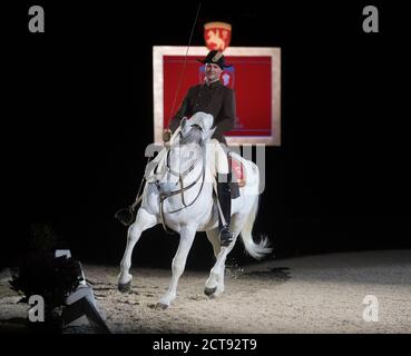 DIE SPANISCHE REITSCHULE IST IN DER WEMBLEY ARENA IN LONDON ZU SEHEN. BILDNACHWEIS : © MARK PAIN / ALAMY STOCK FOTO Stockfoto