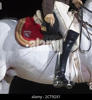 DIE SPANISCHE REITSCHULE IST IN DER WEMBLEY ARENA IN LONDON ZU SEHEN. BILDNACHWEIS : © MARK PAIN / ALAMY STOCK FOTO Stockfoto