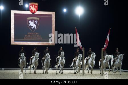 DIE SPANISCHE REITSCHULE IST IN DER WEMBLEY ARENA IN LONDON ZU SEHEN. BILDNACHWEIS : © MARK PAIN / ALAMY STOCK FOTO Stockfoto