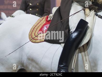 DIE SPANISCHE REITSCHULE IST IN DER WEMBLEY ARENA IN LONDON ZU SEHEN. BILDNACHWEIS : © MARK PAIN / ALAMY STOCK FOTO Stockfoto