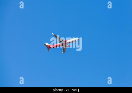 St.Petersburg, Russland - 14. April 2019: Boeing 737 der Russia Airlines fliegt tagsüber in blauem Himmel Stockfoto