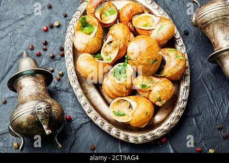 Leckere Schnecken in Vintage-Tray.gefüllte Escargots.Frankreich Essen Stockfoto