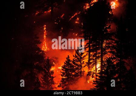 Los Angeles, Kalifornien, USA. September 2020. Das Bobcat Feuer brennt im Angeles National Forest in Los Angeles, Montag, 21. September 2020. Kredit: Ringo Chiu/ZUMA Wire/Alamy Live Nachrichten Stockfoto