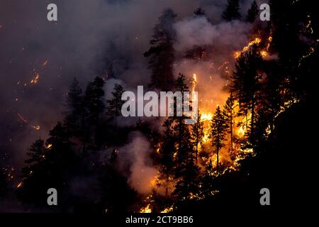 Los Angeles, Kalifornien, USA. September 2020. Das Bobcat Feuer brennt im Angeles National Forest in Los Angeles, Montag, 21. September 2020. Kredit: Ringo Chiu/ZUMA Wire/Alamy Live Nachrichten Stockfoto