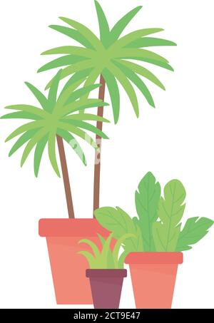 Innendekoration Topfpflanzen isoliert Design weiß Hintergrund Vektor Illustration Stock Vektor