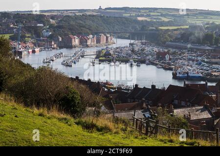 Whitby Marina voller Boote vom Osthang des Fischerortes im September 2020 gesehen. Stockfoto