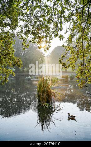 Brighton UK 22. September 2020 - die Sonne geht über einem Herbstnebel im Queens Park Brighton auf, da die Vorhersage für eine Abkühlung in ganz Großbritannien ab morgen ist. : Credit Simon Dack / Alamy Live News Stockfoto