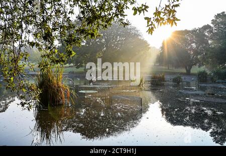 Brighton UK 22. September 2020 - die Sonne geht über einem Herbstnebel im Queens Park Brighton auf, da die Vorhersage für eine Abkühlung in ganz Großbritannien ab morgen ist. : Credit Simon Dack / Alamy Live News Stockfoto