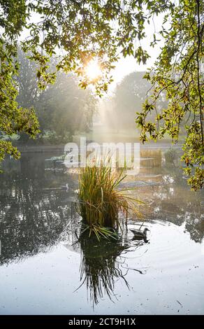 Brighton UK 22. September 2020 - die Sonne geht über einem Herbstnebel im Queens Park Brighton auf, da die Vorhersage für eine Abkühlung in ganz Großbritannien ab morgen ist. : Credit Simon Dack / Alamy Live News Stockfoto