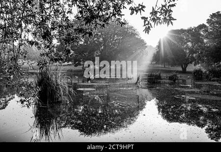 Brighton UK 22. September 2020 - die Sonne geht auf Ein Herbstnebel im Queens Park Brighton als Prognose Ist für sie abkühlen in ganz Großbritannien Stockfoto