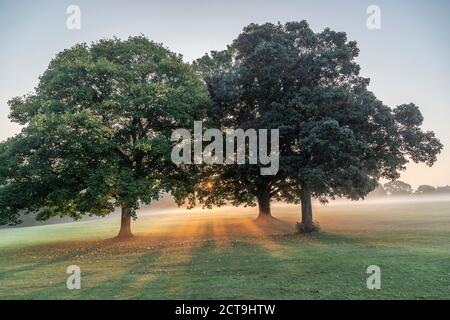 Northampton, Großbritannien, Wetter, 21. September 2020. Beginn des Astronomischen Herbstes, der früh morgens Nebel und Sonnenschein im Abington Park gibt. Kredit: Keith J Smith./Alamy Live Nachrichten Stockfoto