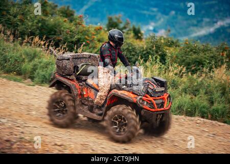 ATV-Fahrer fährt im Sommer durch den Wald im Gelände Stockfoto