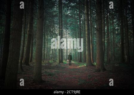 Fußgänger im dunklen Wald, Entfremdung Stockfoto
