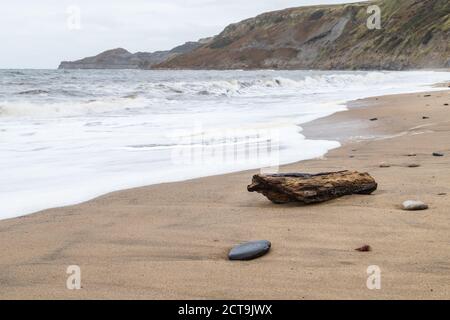 Treibholz und Kieselsteine am Strand von Runswick Bay an einem bewölkten Tag in North Yorkshire. Stockfoto