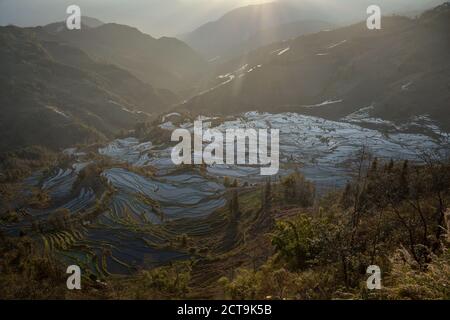 China, Yunnan, Yuanyang, Reisterrassen Stockfoto