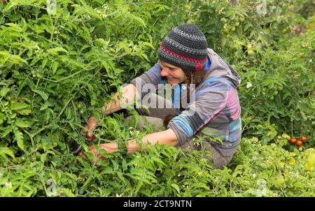 Österreich, Schiltern, Alternative Gärtner bei der Arbeit Stockfoto