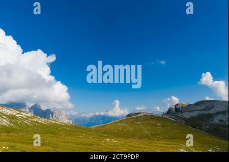 Italien, Provinz Belluno, Region Venetien, Auronzo di Cadore, alpinen Wiese in der Nähe von Tre Cime di Lavaredo Stockfoto