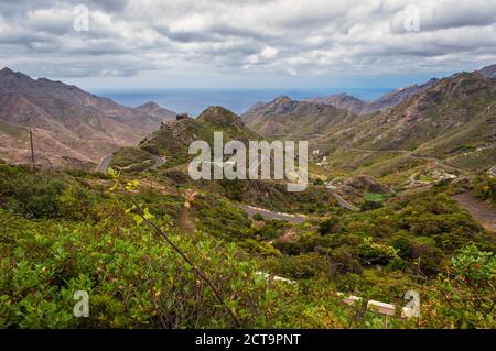 Spanien, Kanarische Inseln, Teneriffa, Stockfoto