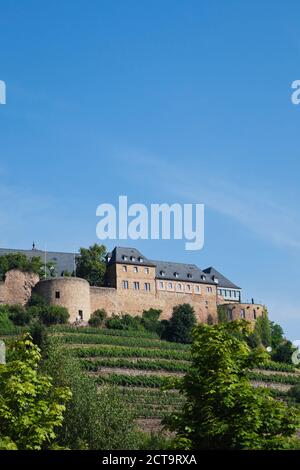 Deutschland, Rheinland-Pfalz, Bad Münster bin Stein-Ebernburg, Burg Ebernburg Stockfoto