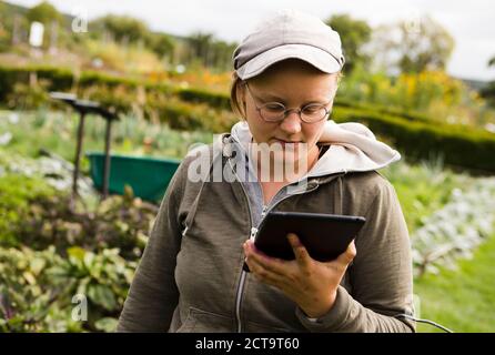 Österreich, Schiltern, Alternative Gärtner mit digital-Tablette Stockfoto