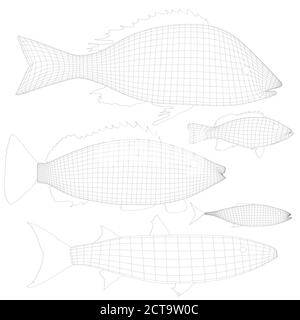 Set mit Drahtgestell von verschiedenen Fischen isoliert auf weißem Hintergrund. 3D. Vektorgrafik Stock Vektor