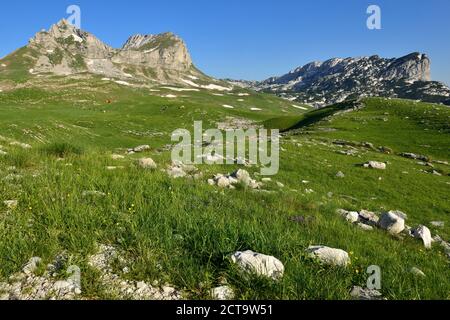 Montenegro, Sedlena Greda Berg Durmitor National Park Stockfoto