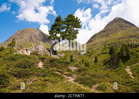 Italien, Südtirol, Pustertal Valley, Antholz-Obertal, Staller Sattel Stockfoto