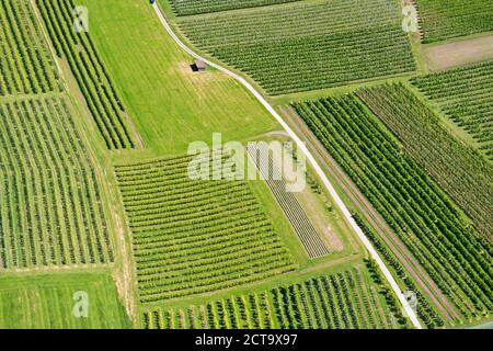 Deutschland, Baden-entwickelt, Luftbild Obstplantagen in der Nähe von Kressbronn Stockfoto
