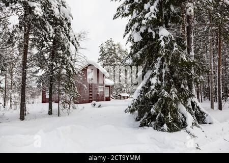 Skandinavien, Finnland, Kittilaentie, leere Holzhütte im Wald im winter Stockfoto