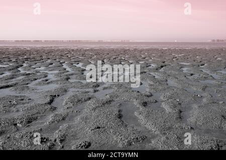 Deutschland, Niedersachsen, Baltrum, Blick zum Wattenmeer bei Ebbe Stockfoto