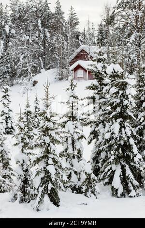 Skandinavien, Finnland, Kittilaentie, leere Holzhütte im Wald im winter Stockfoto