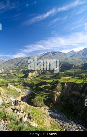 Südamerika, Peru, Colca Canyon Stockfoto