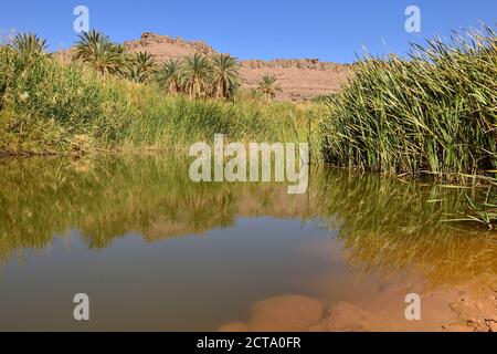 Algerien, Tassili n ' Ajjer National Park, Iherir, Wasser in einem Guelta am Idaran Canyon Stockfoto