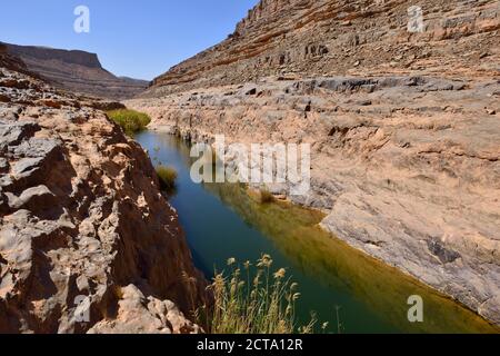 Algerien, Tassili n ' Ajjer National Park, Iherir, Wasser in einem Guelta am Idaran Canyon Stockfoto