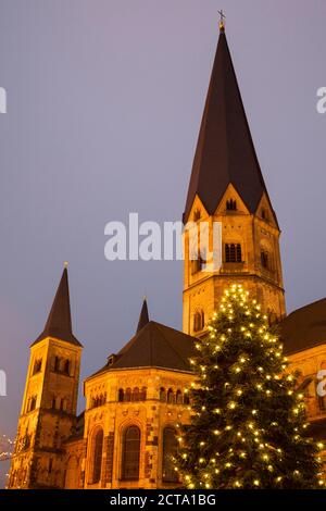 Deutschland, Nordrhein-Westfalen, Bonn, Weihnachtsbaum am Bonner Münster Stockfoto