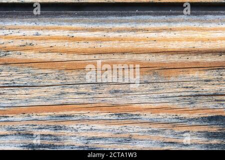 Erodierte Holz Oberfläche, grunge Holz- Textur als Hintergrund verwendet werden dürfen Stockfoto