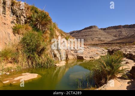 Algerien, Tassili n ' Ajjer National Park, Iherir, Wasser in einem Guelta am Idaran Canyon Stockfoto