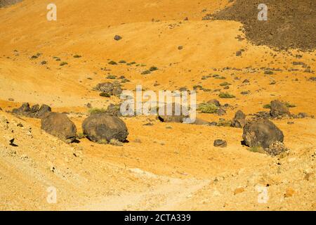 Spanien, Kanarische Inseln, Teneriffa, Pico del Teide im Teide-Nationalpark, Lavagestein, Huevos del Teide, Teide-Eiern Stockfoto