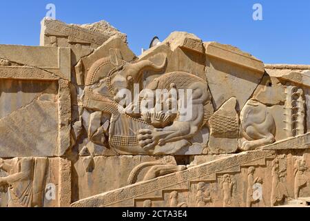 Iran, antiken achämenidischen archäologische Stätte von Persepolis, Flachreliefs auf Darius-Palast Stockfoto