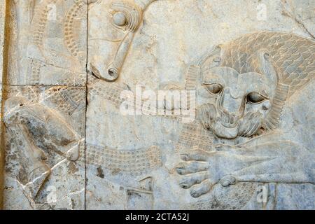 Iran, Achaemenid archäologische Stätte von Persepolis, Stier und Löwe Flachrelief auf der Apadana Palast Stockfoto